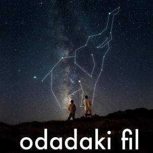 Odadaki Fil Kanal Kapağı