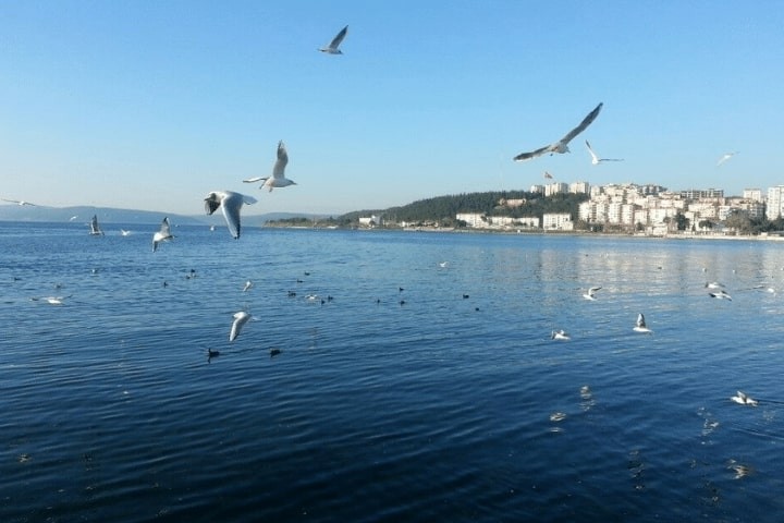 çanakkale kordon