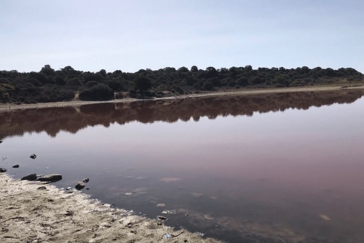 pembe göl