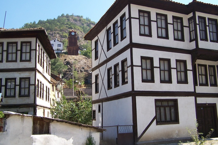Mudurnu Evleri