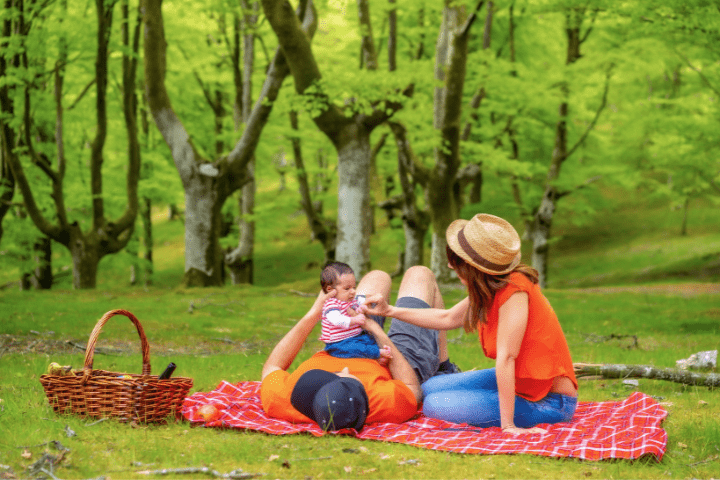 aile piknik