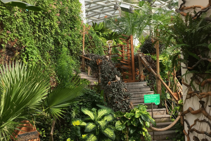 konya tropikal kelebek bahçesi
