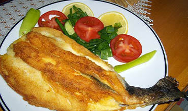 Sarı Sazan